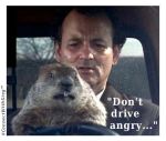 Don't Drive Angry