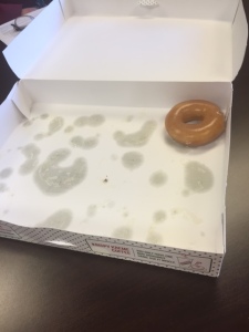Last Donut
